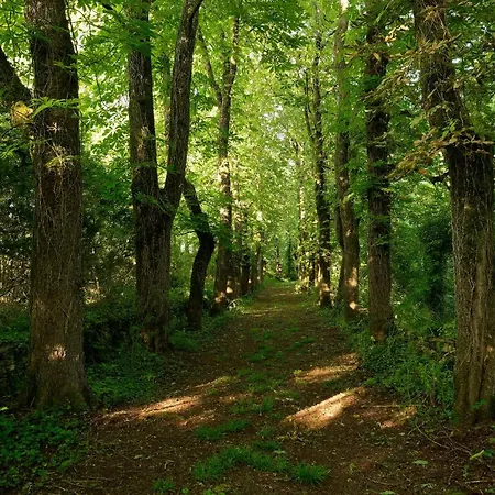 Les Demeures De Valette Hotel 3*